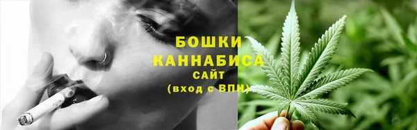 spice Верхний Тагил