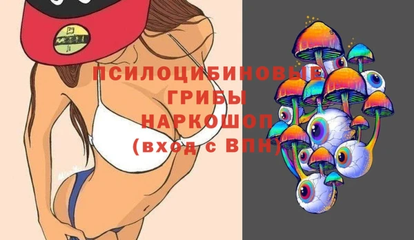 spice Верхний Тагил